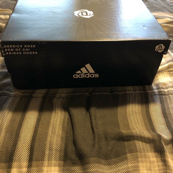 Adidas Rose son of chi - Picture 7 of 8